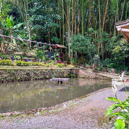 Finca Turistica Los Rosales Pereira Extérieur photo