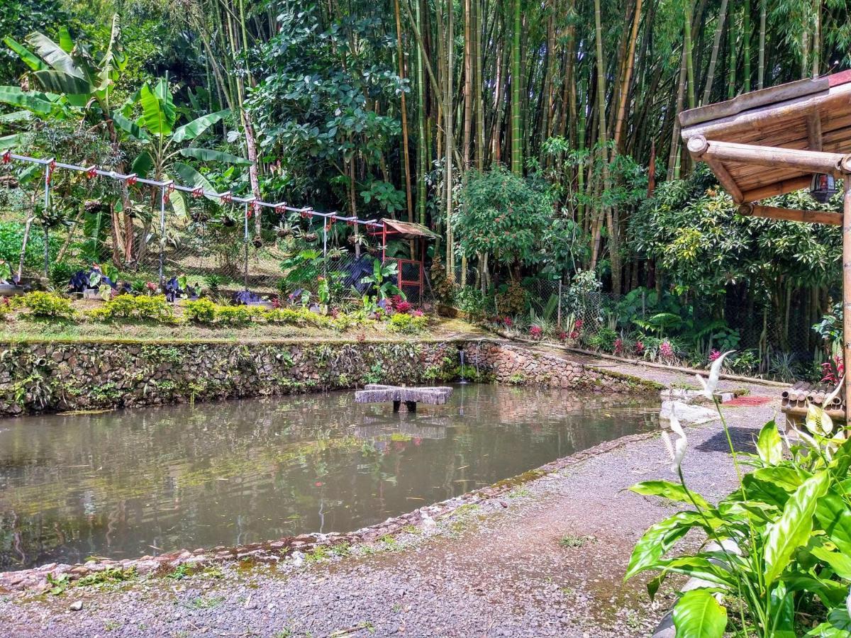 Finca Turistica Los Rosales Pereira Extérieur photo