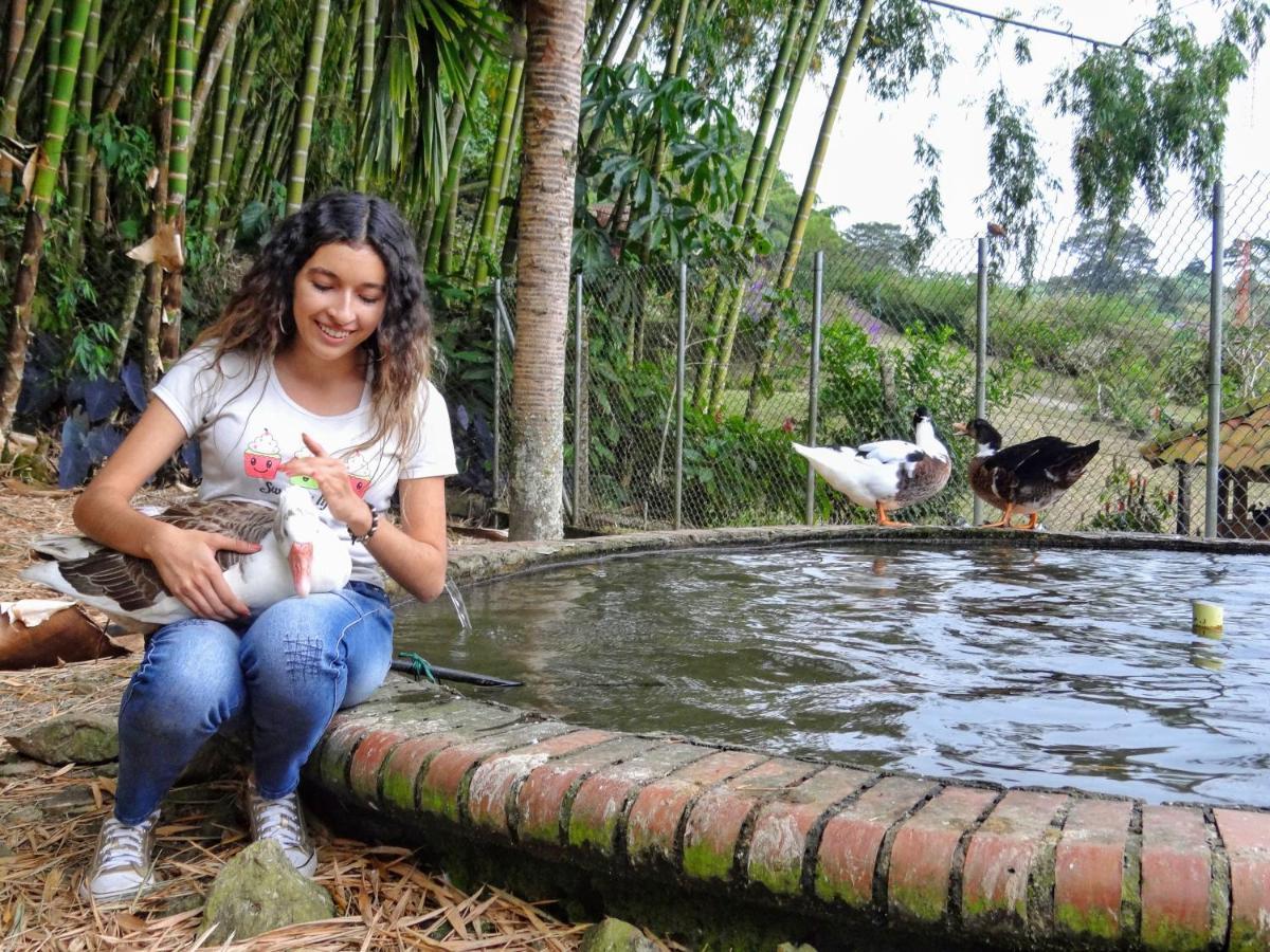 Finca Turistica Los Rosales Pereira Extérieur photo